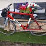 fixie giant Image 4