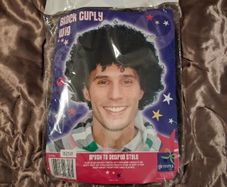 Dress up Halloween wig