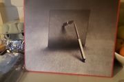 Interpol the other side of make believe red vinyl