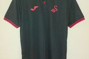 swansea polo