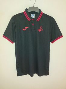 swansea polo