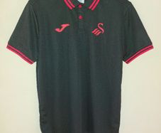 swansea polo