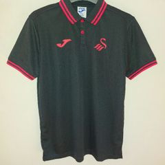 swansea polo