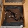 Gateway1 Estate Beater 9" 400g hiking/hinting boots Image 4