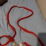 multifunctional dog lease and collar Image 4