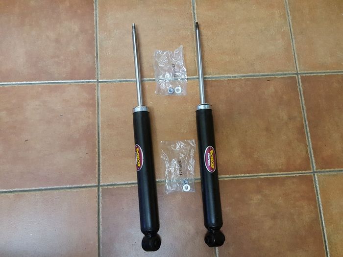 Citroen C4 Peugeot 307 308 Rear Shock Absorbers