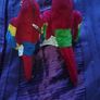 2 Parrots Image 5