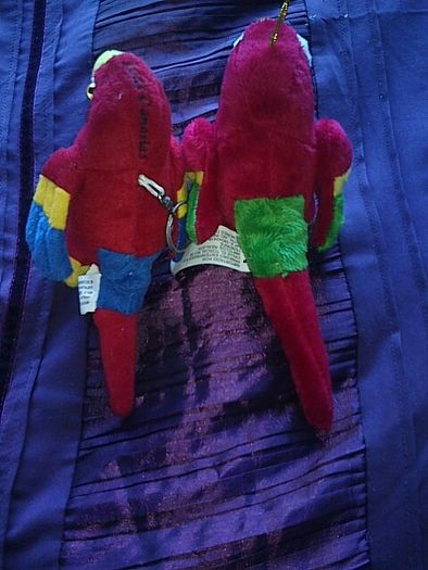 2 Parrots