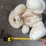 teddy bear Image 2