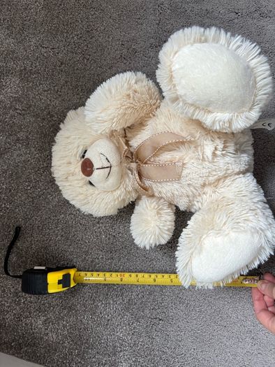 teddy bear