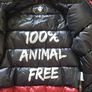 USED Save the Duck padded coat/jacket boys 6yrs Image 5