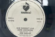 Joe Dolan She Doesn't Live Here Anymore 7 inch Irish Vinyl 1990 Harmac HMS 35