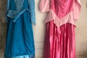 Sleeping Beauty Costumes