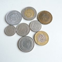 Polish coins