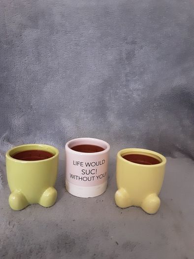 Miniature Plant Holders/Sure to Brighten up Any Room in the Home