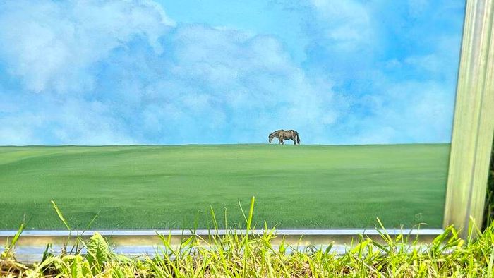 Original Oil Painting