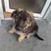 oisin_12