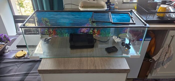 Fish/ turtle tank aquariamFish/ turtle tank aquariam