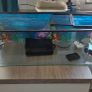 Fish/ turtle tank aquariamFish/ turtle tank aquariam Image 3