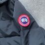 canada goose Image 4