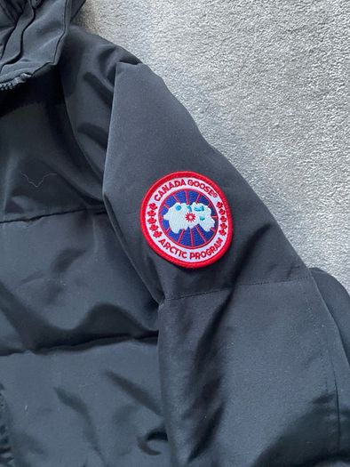 canada goose