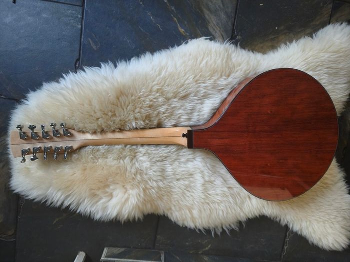 Nyberg Flat-top Mid-Scale Cittern