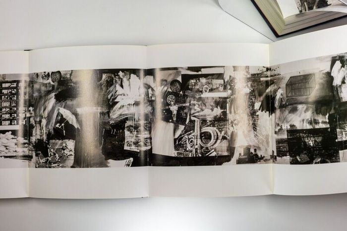 Robert Rauschenberg A Retrospective by Walter Hops and Susan Davidson