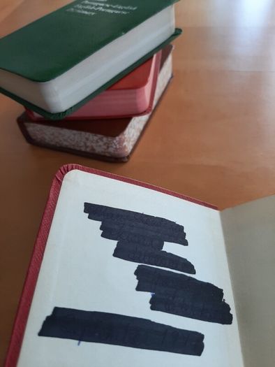 Collins Pocket German dictionary