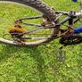 adults bike Image 3