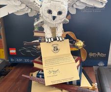 Lego 76319 Hedwig Hogwarts icon collection