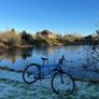 Bike Image 8