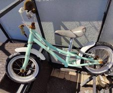 Pendleton balance bike