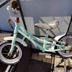 Pendleton balance bike