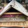 Garden Shed 160cm x 140cm Image 3