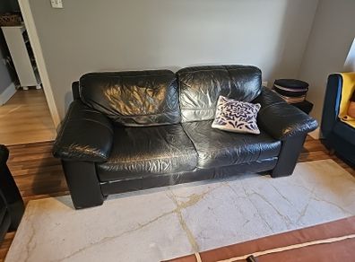 Leather couches