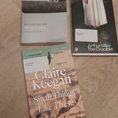 English secondary school novels 2euro each
