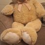 teddy bear Image 2