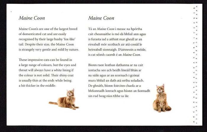 2014 Ireland Cats Commemorative Stamp Booklet Mint Never Hinged (MNH). Hibernian HB202. Photos of contents shown.