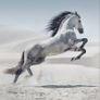 NEW unique mural with a horse in the desert Image 3