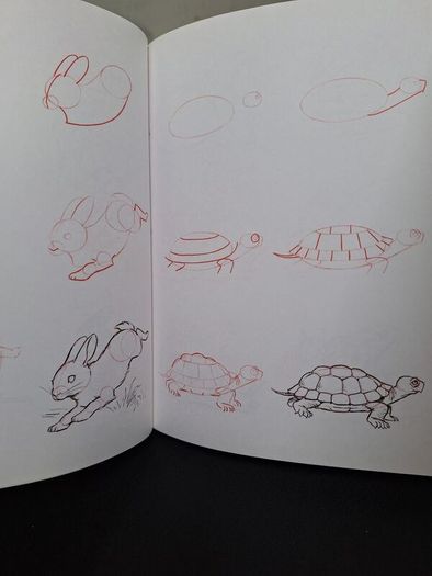 SALE! Set of 4 DRAW 50 drawing books: Dinosaurs, Flowers, Animals and Endangered Animals