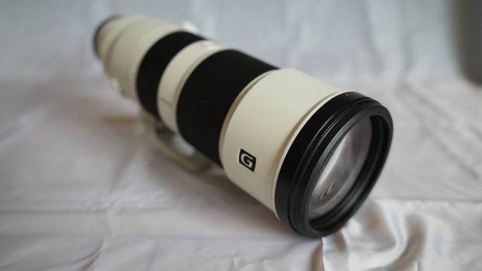 Sony FE 200-600mm f/5.6-6.3 G OSS Lens