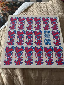 Family Cat - Remember what it is you love 12"