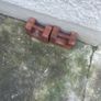 2. 25 kg weights. Great door stops Image 4