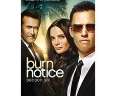 Burn Notice Season 6 As New Unwatched.