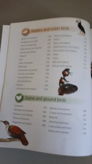 birds book