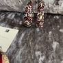Earrings Image 2