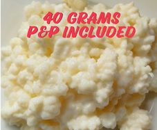 Milk kefir grains 40 grams P&P included. Probiotics.