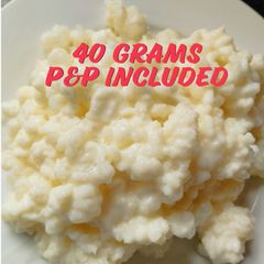 Milk kefir grains 40 grams P&P included. Probiotics.