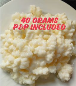 Milk kefir grains 40 grams P&P included. Probiotics.