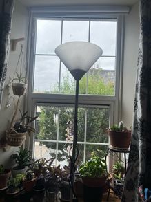 lamps
